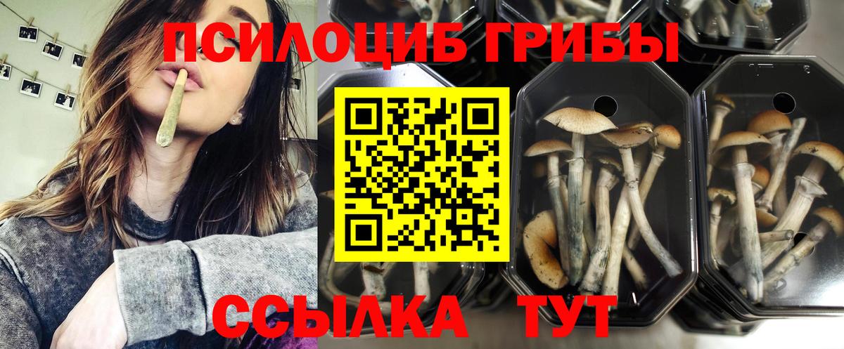 Галлюциногенные грибы MAGIC MUSHROOMS  Вход с VPN  Галлюциногенные грибы мухоморы  Осинники 